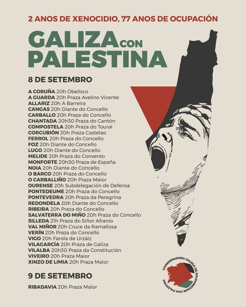 Concentración Galiza con Palestina